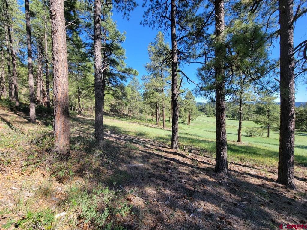 X Catchpole Drive Pagosa Springs CO 81147