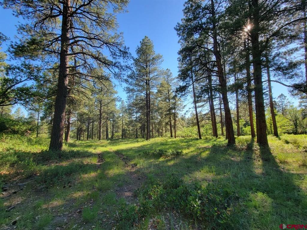 X Catchpole Drive Pagosa Springs CO 81147