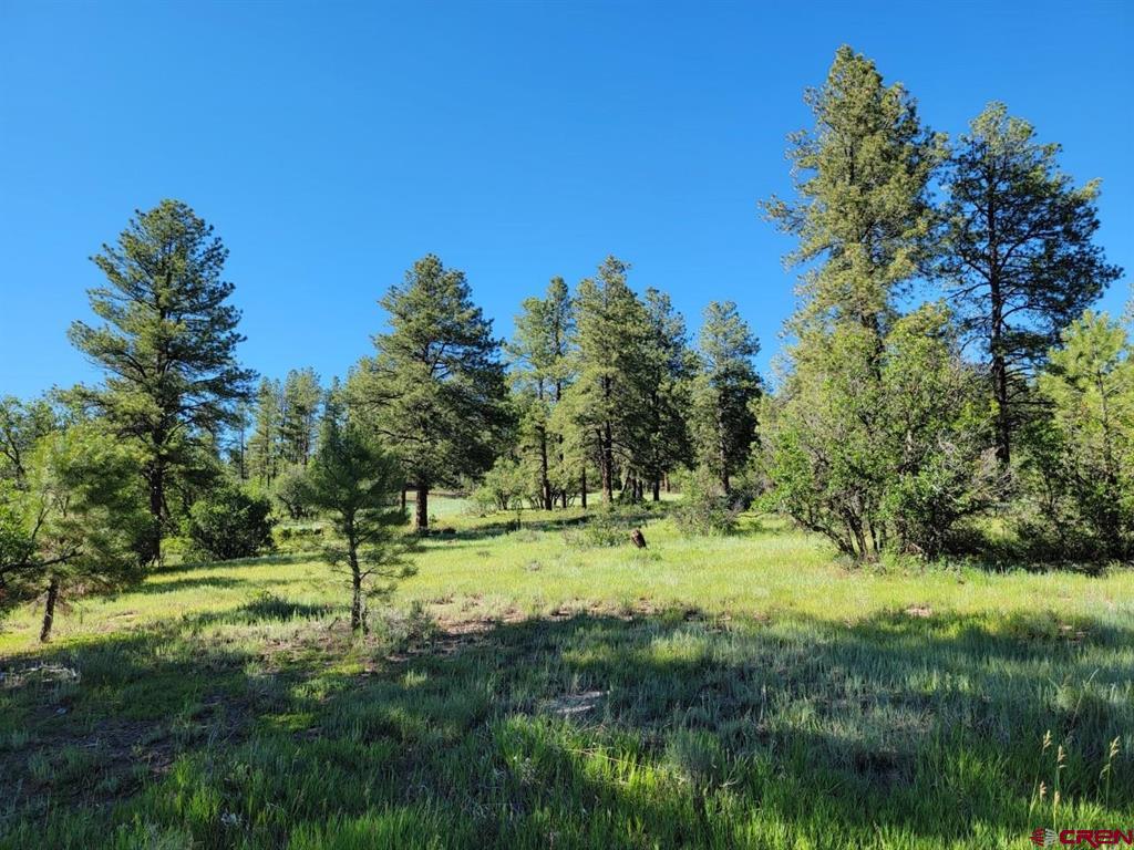 X Catchpole Drive Pagosa Springs CO 81147