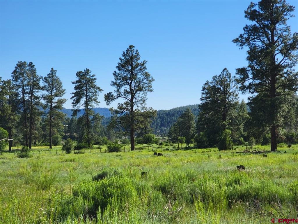 X Catchpole Drive Pagosa Springs CO 81147