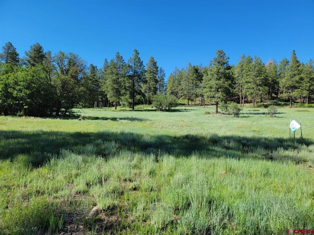 X Catchpole Drive Pagosa Springs CO 81147