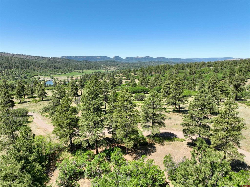 Tbd County Road 382 Pagosa Springs CO 81128