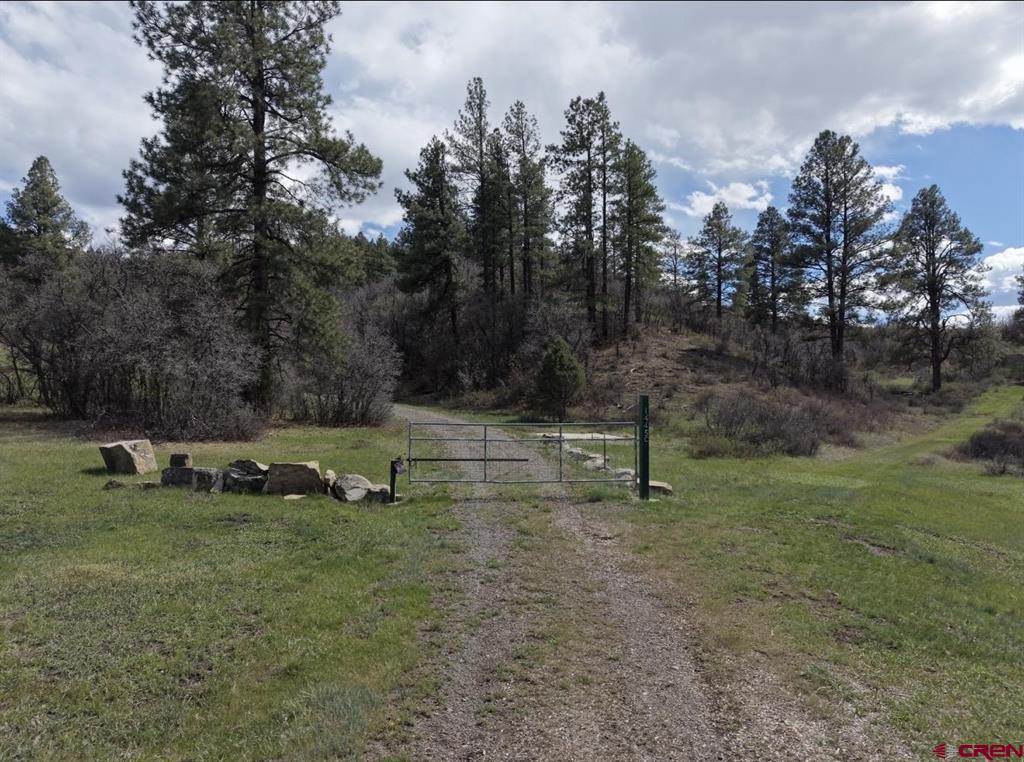 1445C County Road 326 Pagosa Springs CO 81147