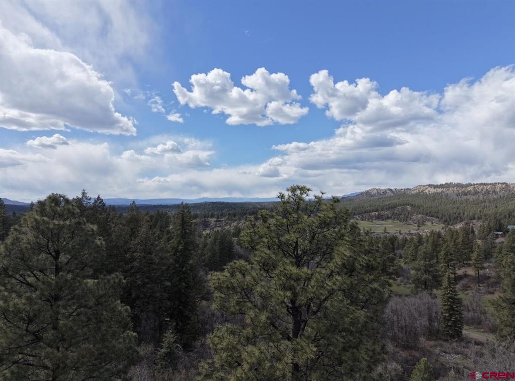1445C County Road 326 Pagosa Springs CO 81147