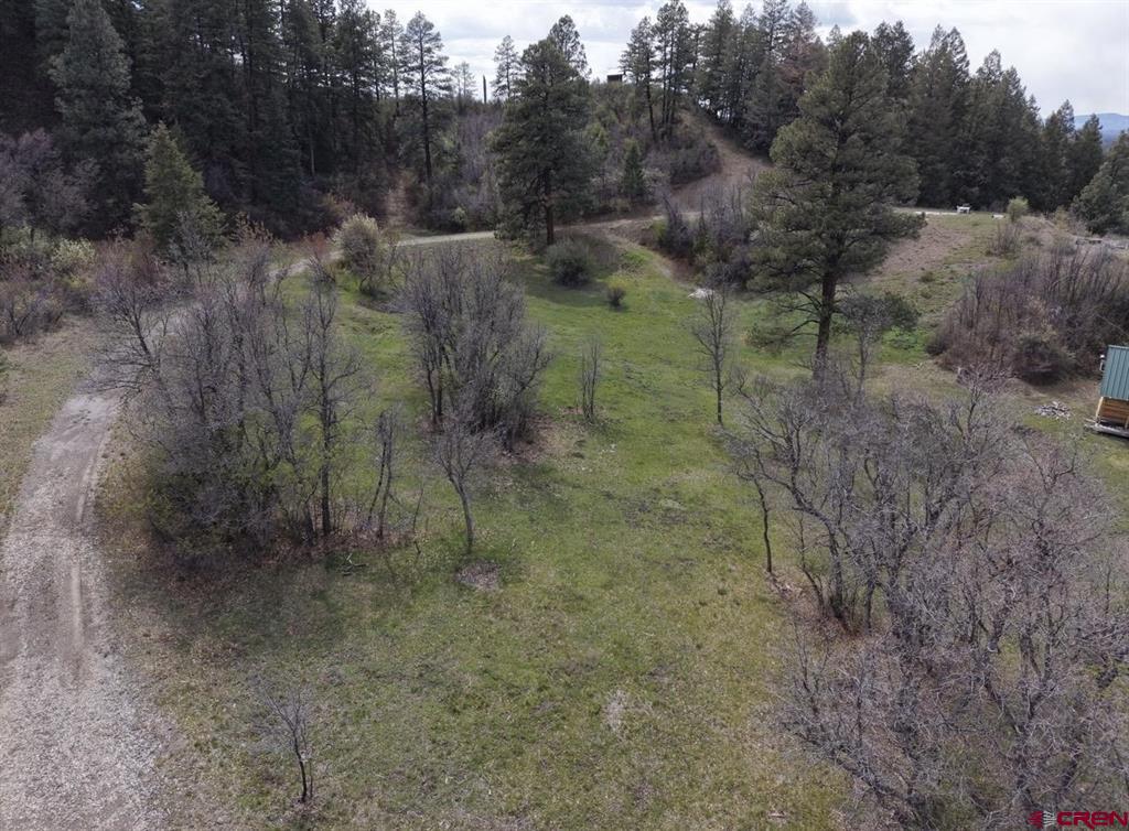 1445C County Road 326 Pagosa Springs CO 81147
