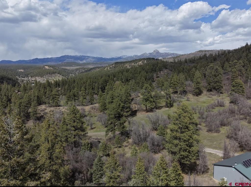1445C County Road 326 Pagosa Springs CO 81147
