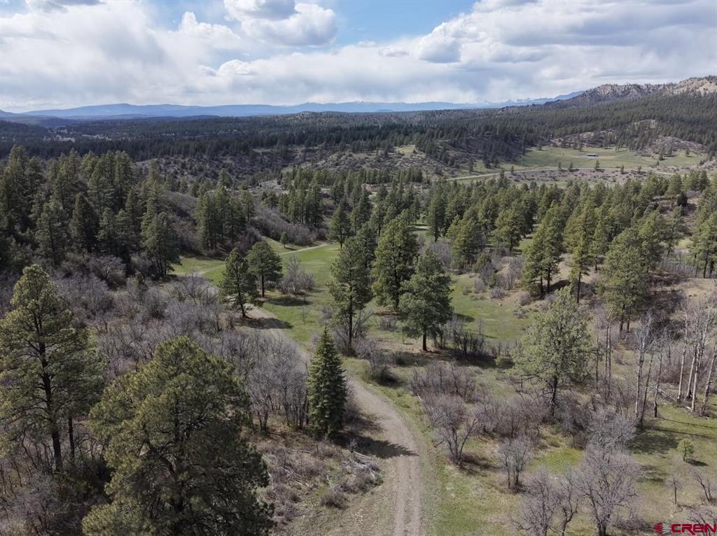 1445C County Road 326 Pagosa Springs CO 81147