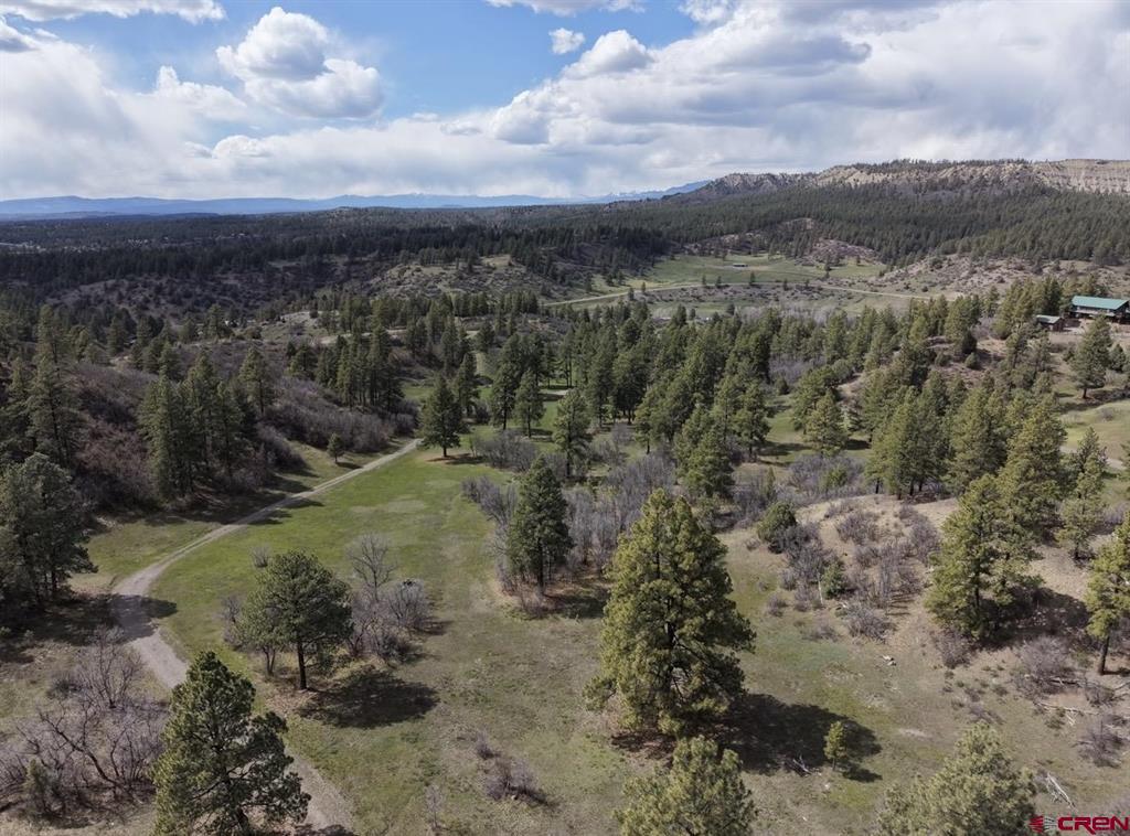 1445C County Road 326 Pagosa Springs CO 81147