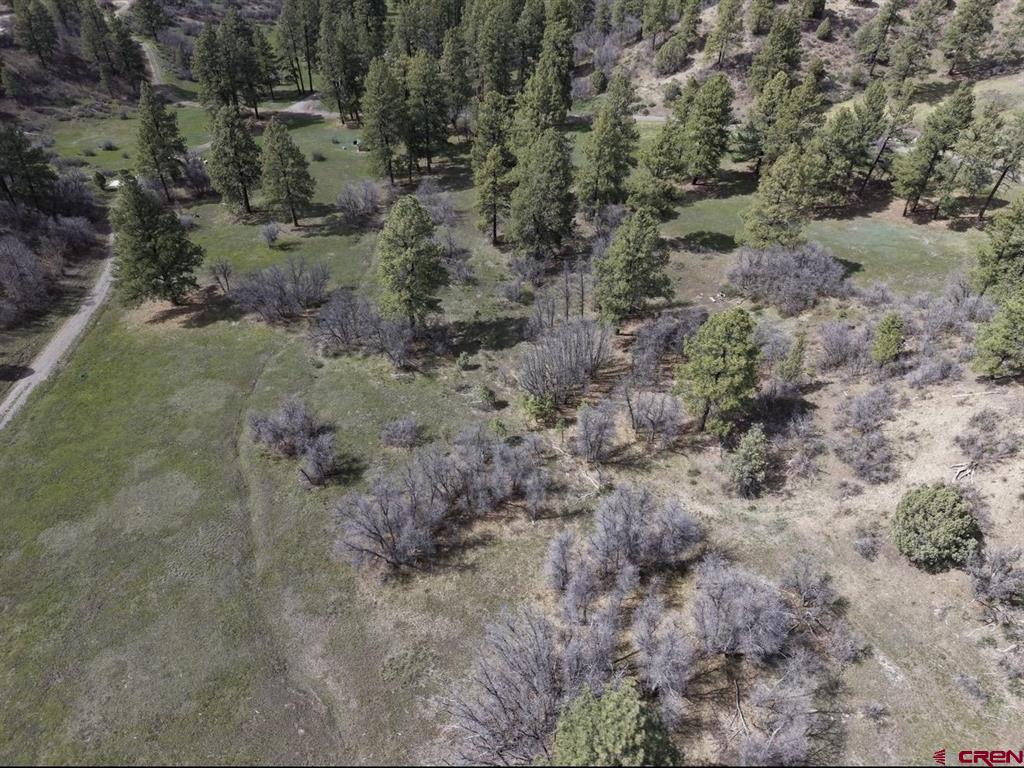 1445C County Road 326 Pagosa Springs CO 81147