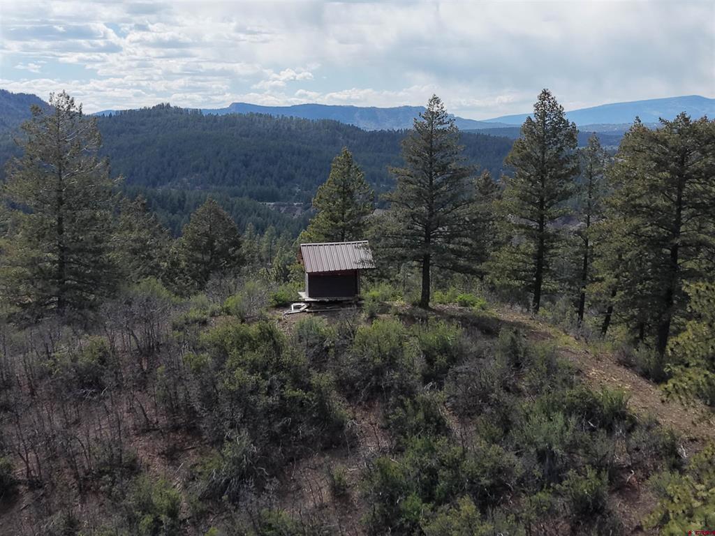 1445C County Road 326 Pagosa Springs CO 81147