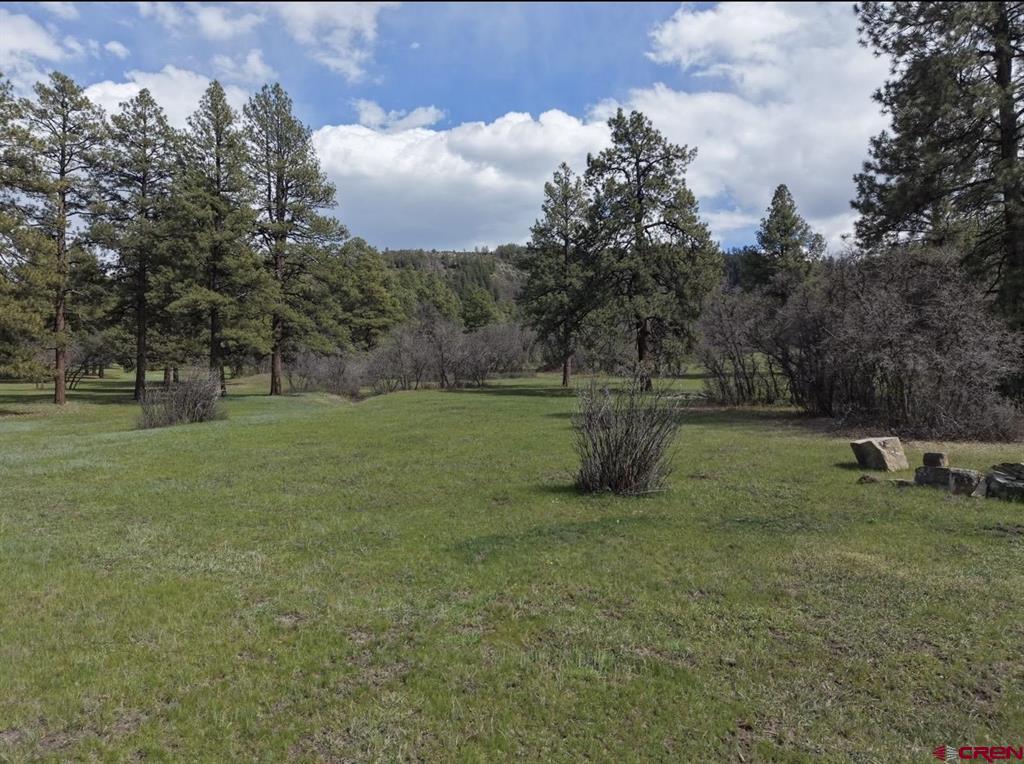 1445C County Road 326 Pagosa Springs CO 81147