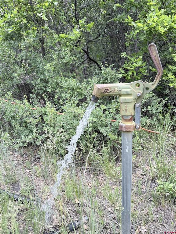 1445C County Road 326 Pagosa Springs CO 81147