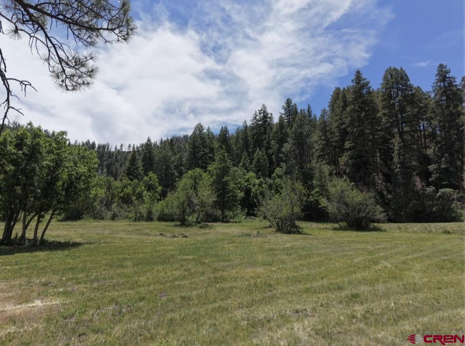 1445C County Road 326 Pagosa Springs CO 81147