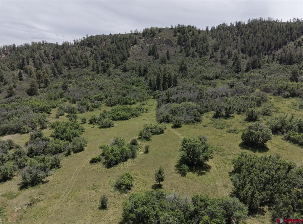 1445C County Road 326 Pagosa Springs CO 81147