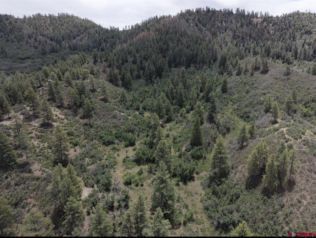 1445C County Road 326 Pagosa Springs CO 81147
