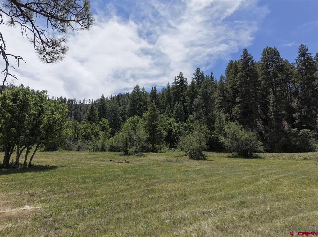 1445C County Road 326 Pagosa Springs CO 81147