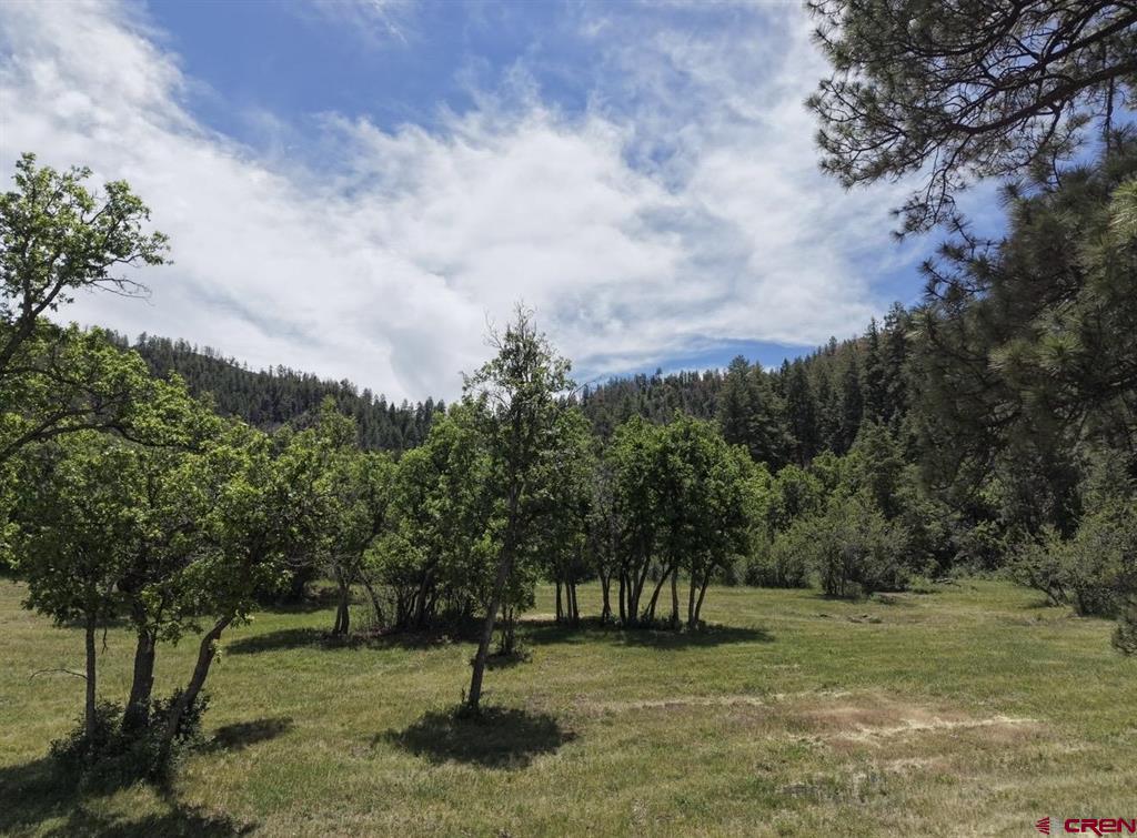 1445C County Road 326 Pagosa Springs CO 81147