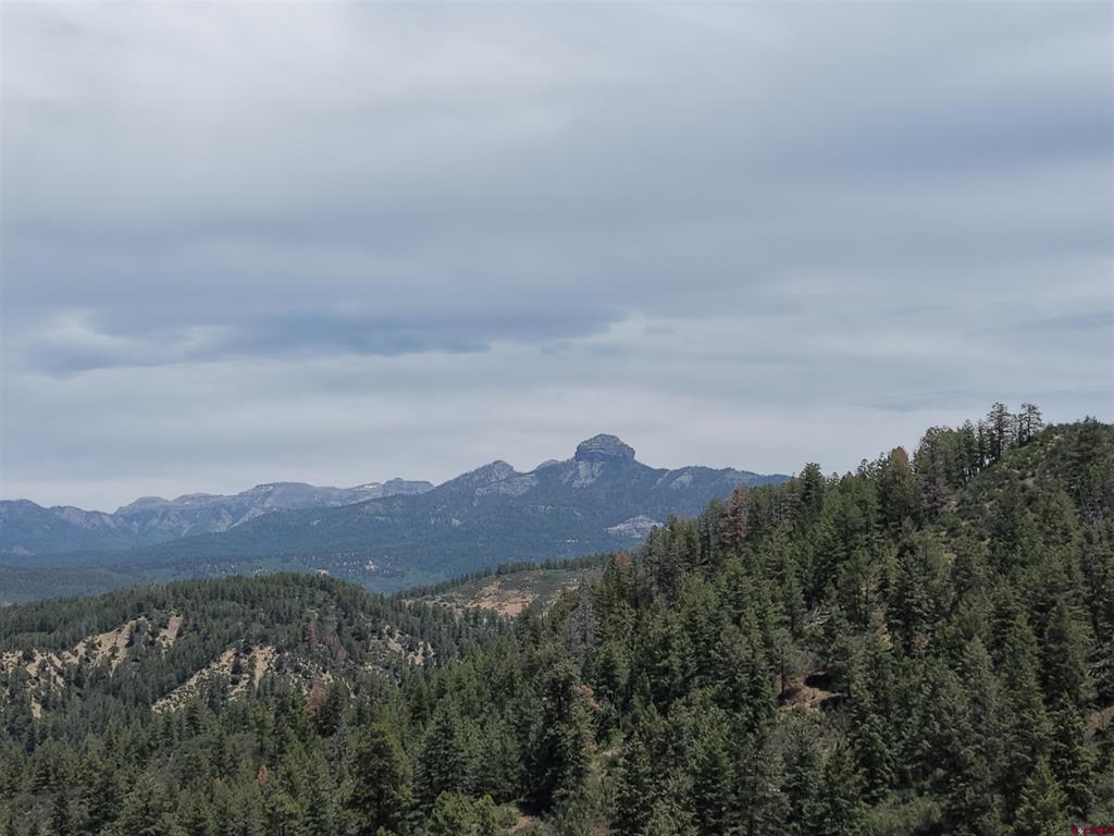 1445C County Road 326 Pagosa Springs CO 81147