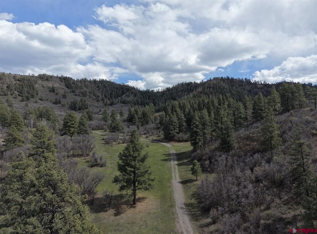 1445C County Road 326 Pagosa Springs CO 81147