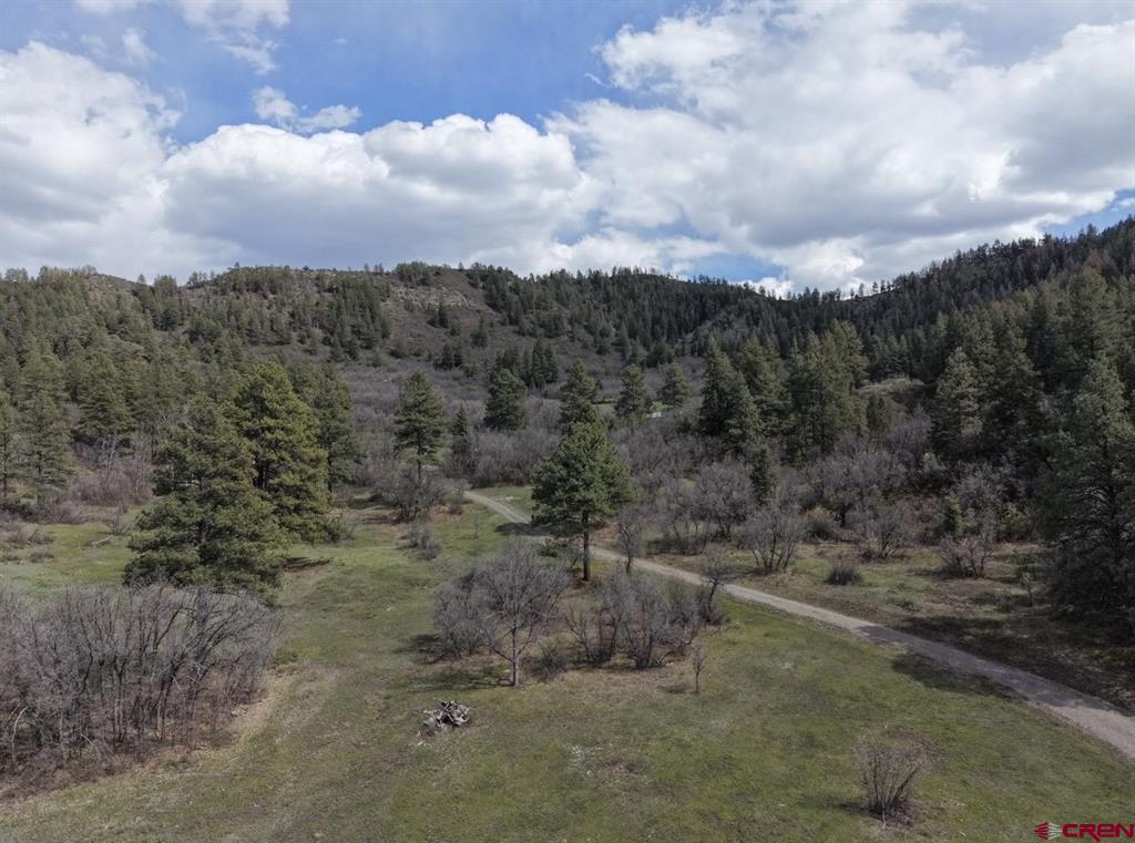 1445C County Road 326 Pagosa Springs CO 81147