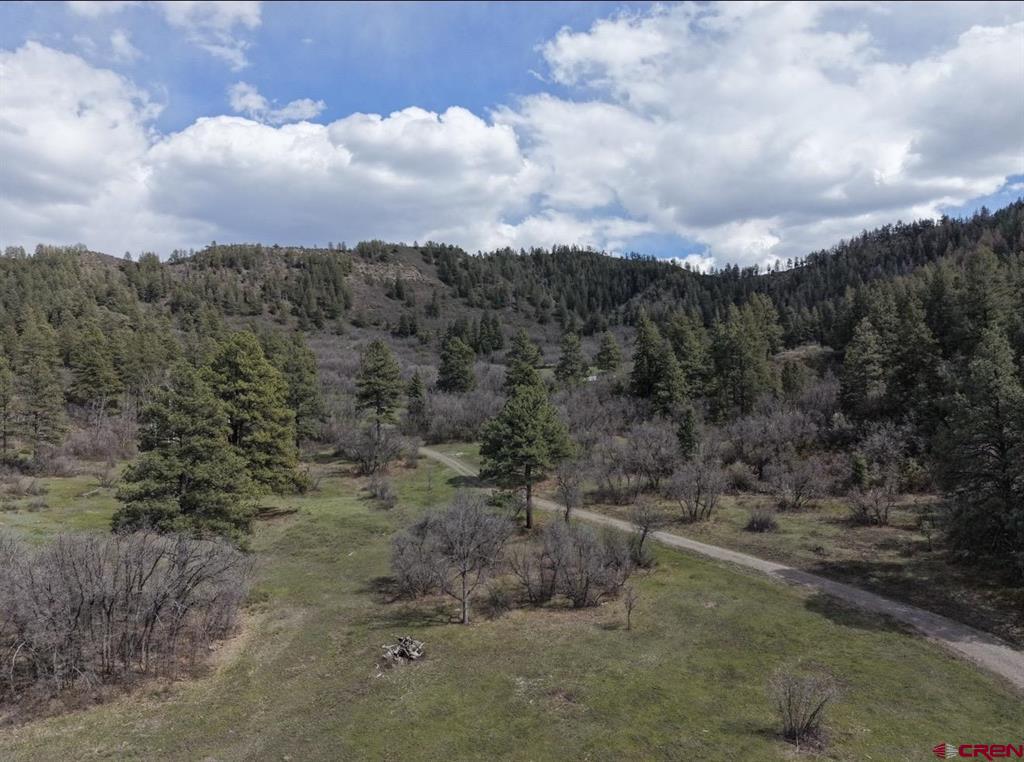 1445C County Road 326 Pagosa Springs CO 81147