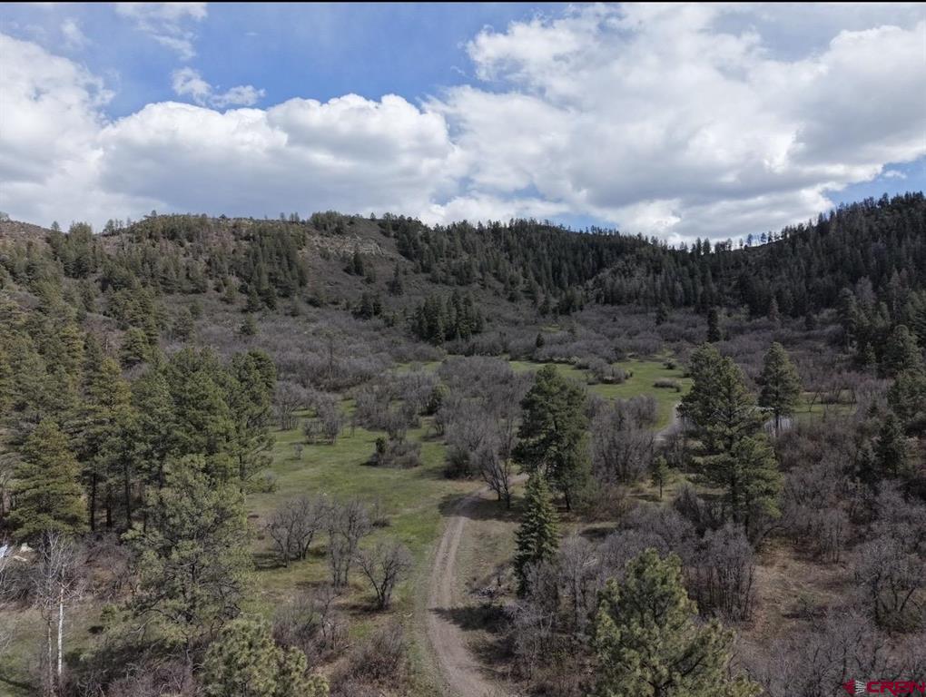 1445C County Road 326 Pagosa Springs CO 81147
