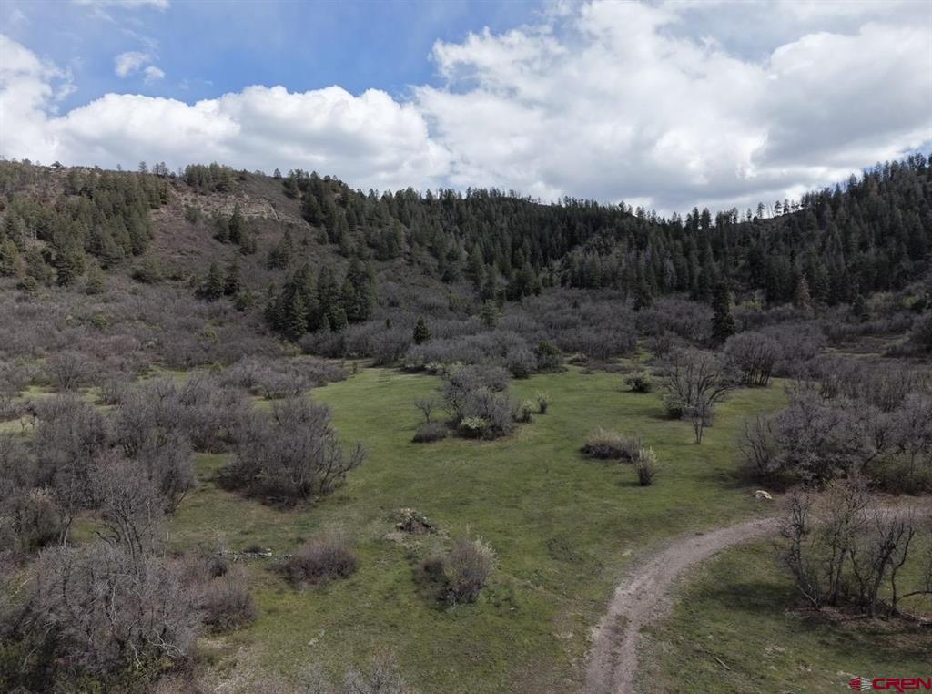 1445C County Road 326 Pagosa Springs CO 81147