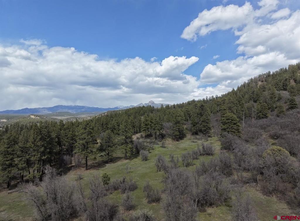 1445C County Road 326 Pagosa Springs CO 81147