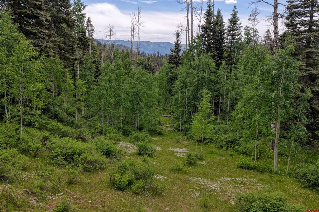 4556 Middle Mountain Road Vallecito Lake/bayfield CO 81122