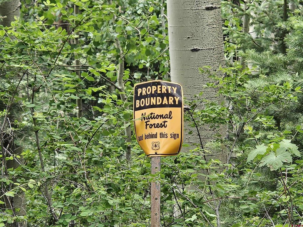 4556 Middle Mountain Road Vallecito Lake/bayfield CO 81122