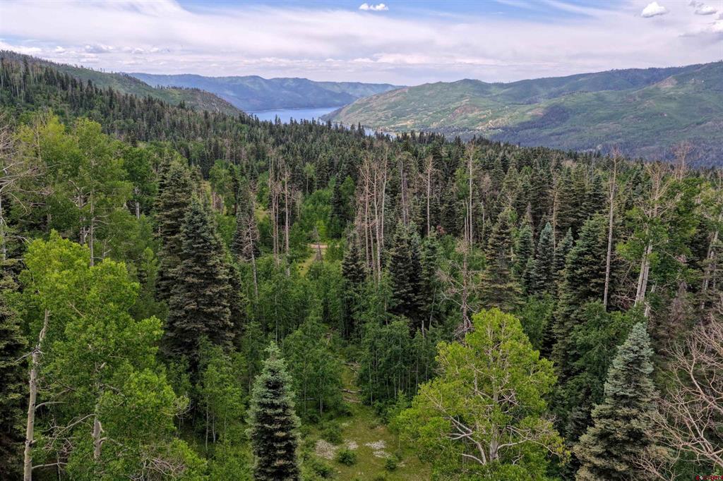 4556 Middle Mountain Road Vallecito Lake/bayfield CO 81122