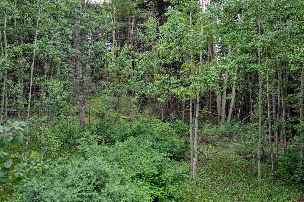 4556 Middle Mountain Road Vallecito Lake/bayfield CO 81122