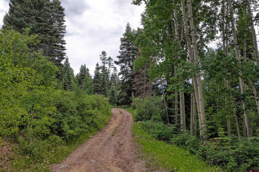 4556 Middle Mountain Road Vallecito Lake/bayfield CO 81122