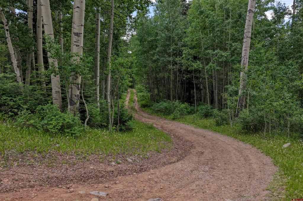 4556 Middle Mountain Road Vallecito Lake/bayfield CO 81122