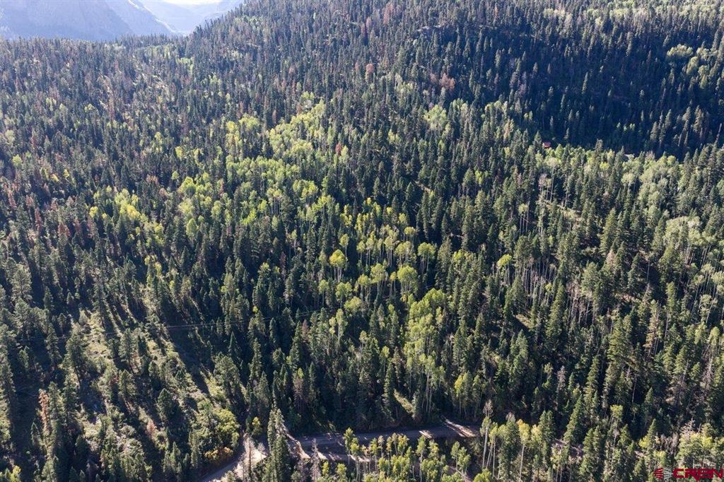 Tbd County Road 361 Ouray CO 81427