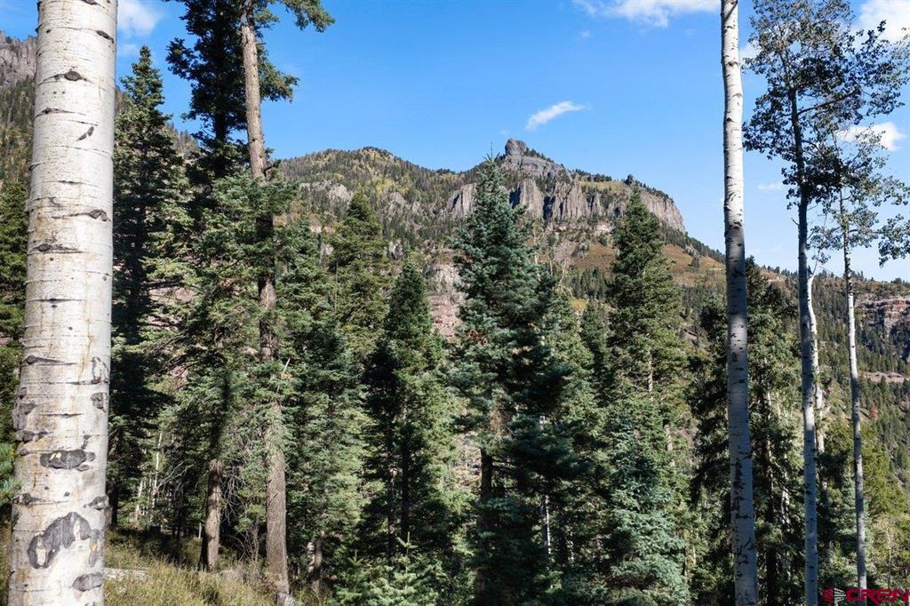 Tbd County Road 361 Ouray CO 81427