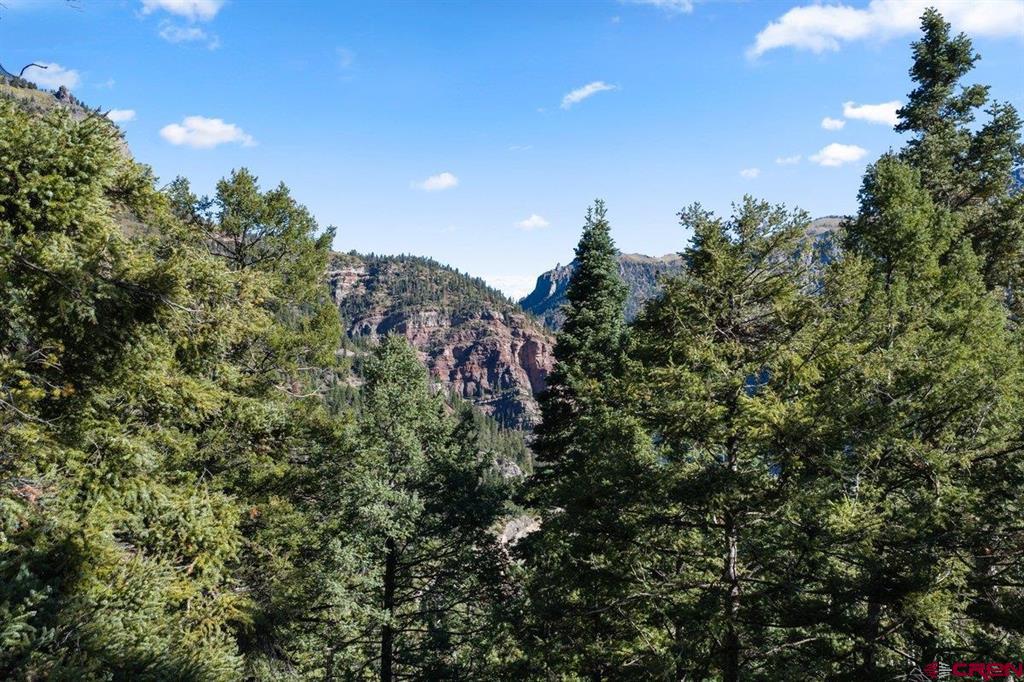 Tbd County Road 361 Ouray CO 81427