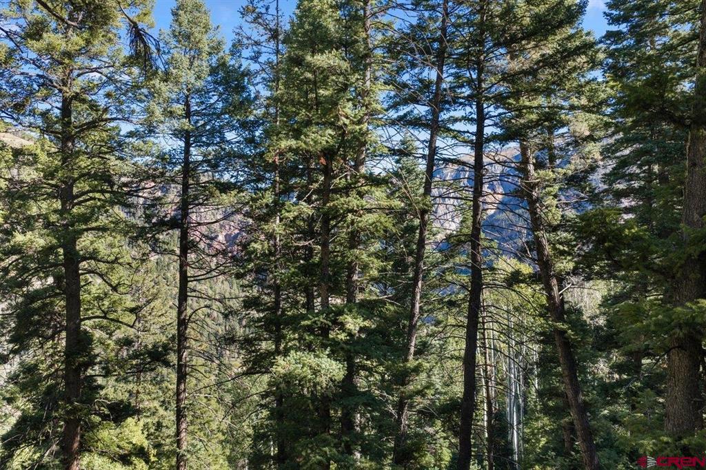 Tbd County Road 361 Ouray CO 81427