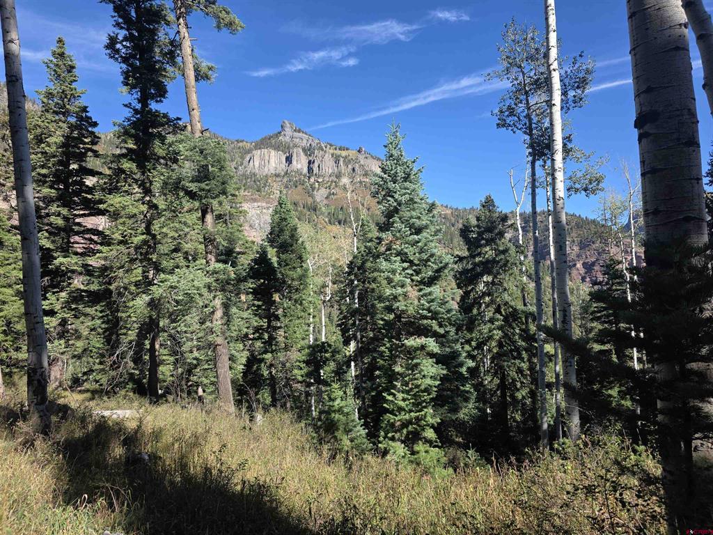 Tbd County Road 361 Ouray CO 81427