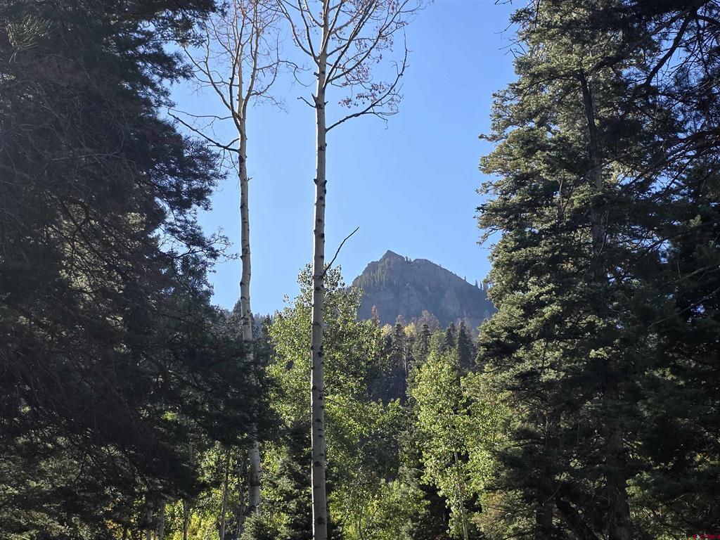 Tbd County Road 361 Ouray CO 81427