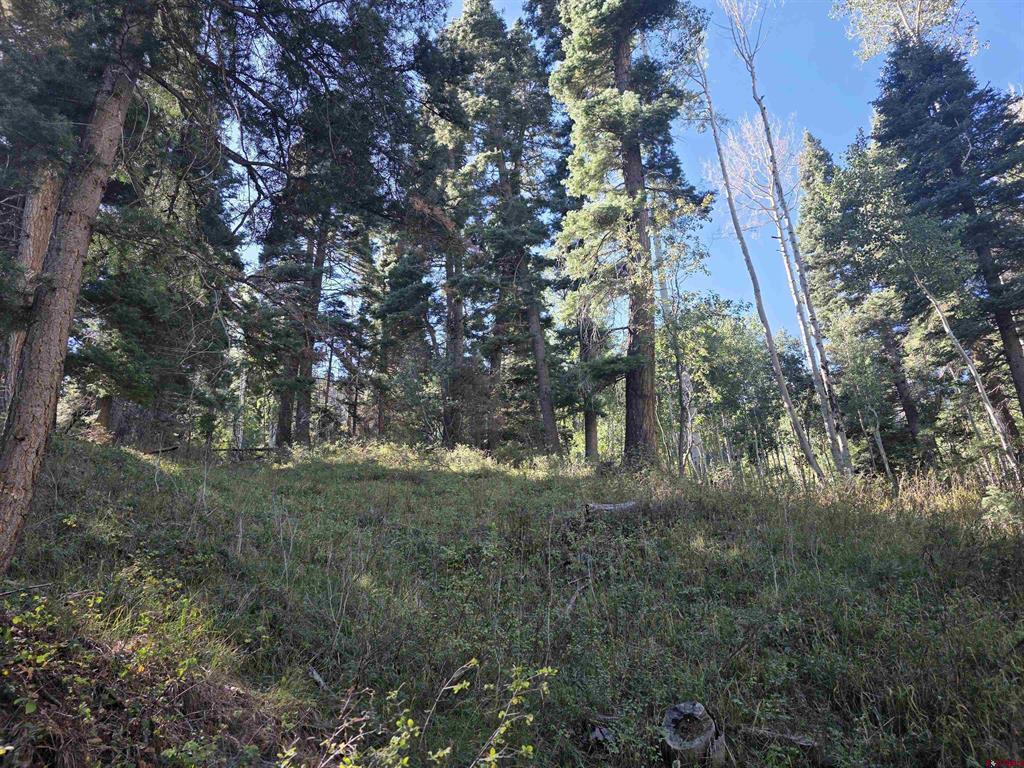 Tbd County Road 361 Ouray CO 81427