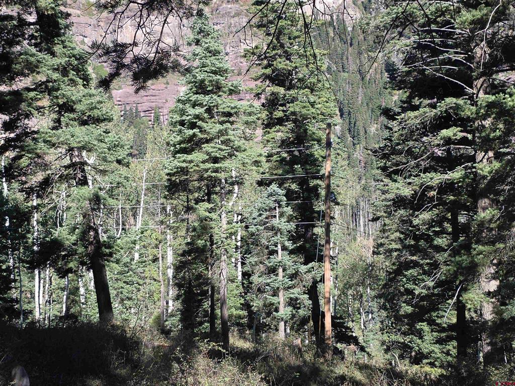 Tbd County Road 361 Ouray CO 81427