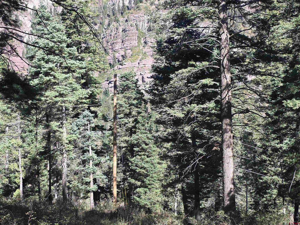 Tbd County Road 361 Ouray CO 81427