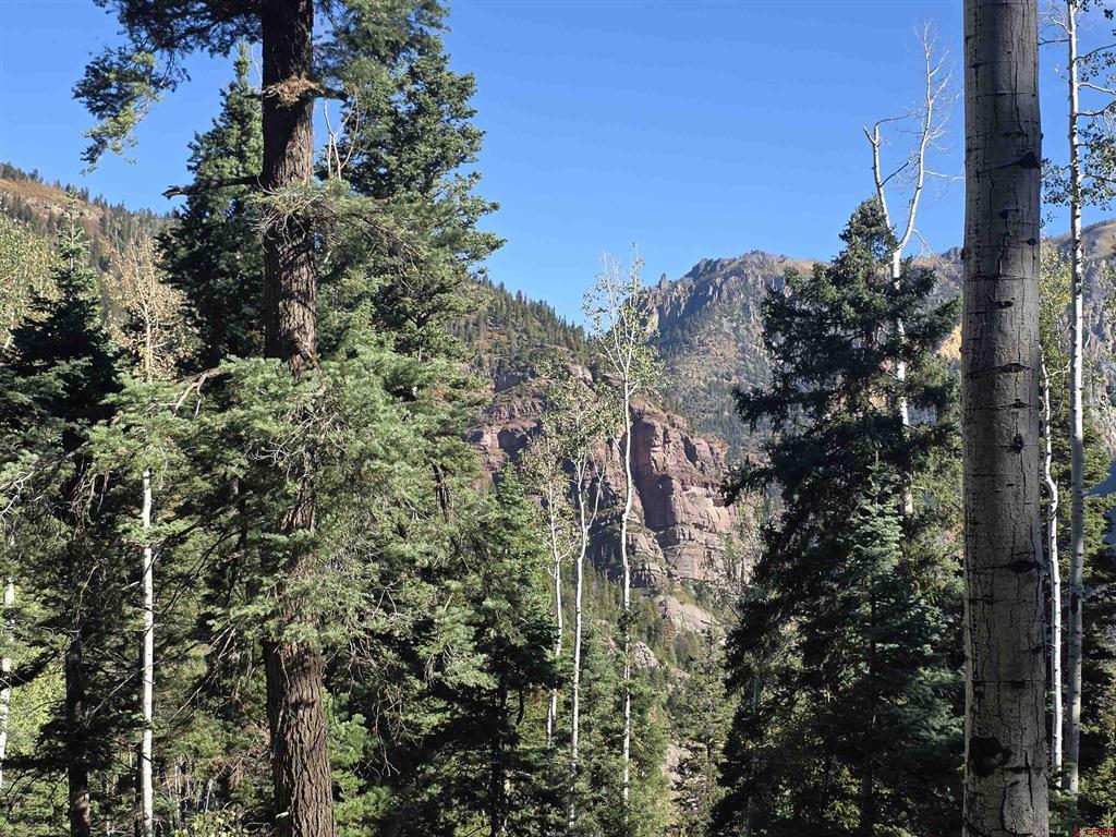 Tbd County Road 361 Ouray CO 81427