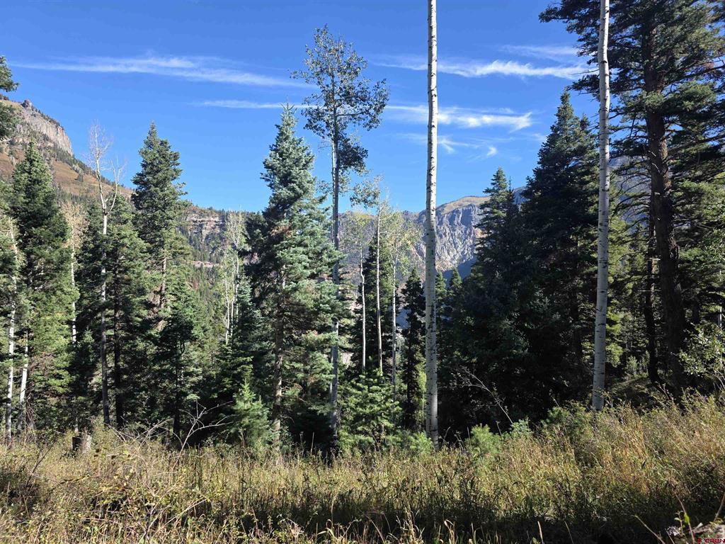 Tbd County Road 361 Ouray CO 81427