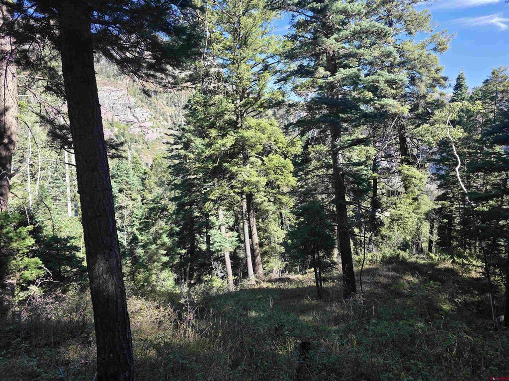 Tbd County Road 361 Ouray CO 81427