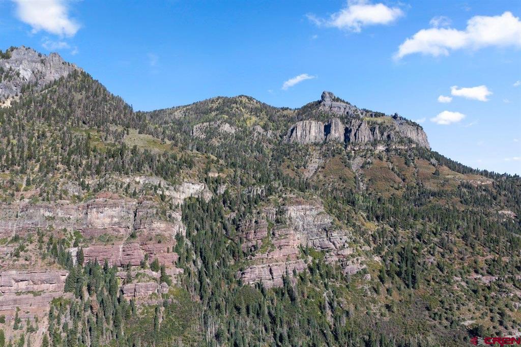 Tbd County Road 361 Ouray CO 81427