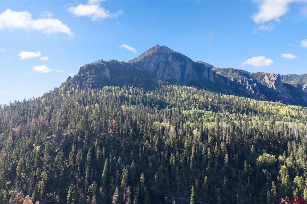 Tbd County Road 361 Ouray CO 81427