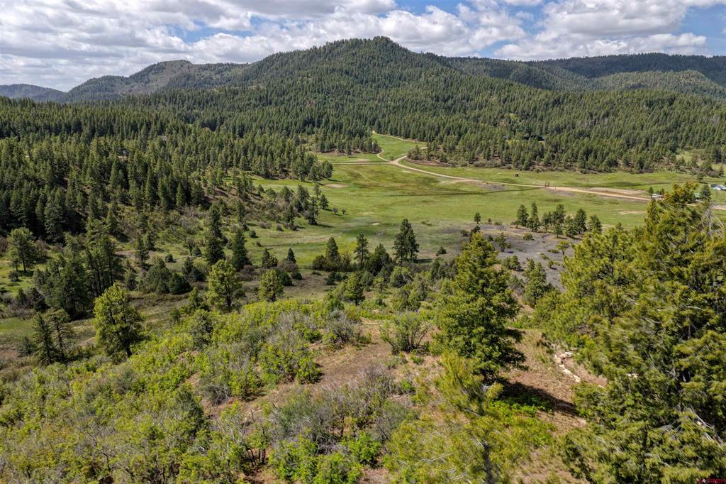 Pagosa Springs CO, 208 Peace