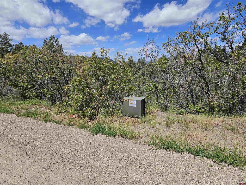 208 Peace Place Pagosa Springs CO 81147
